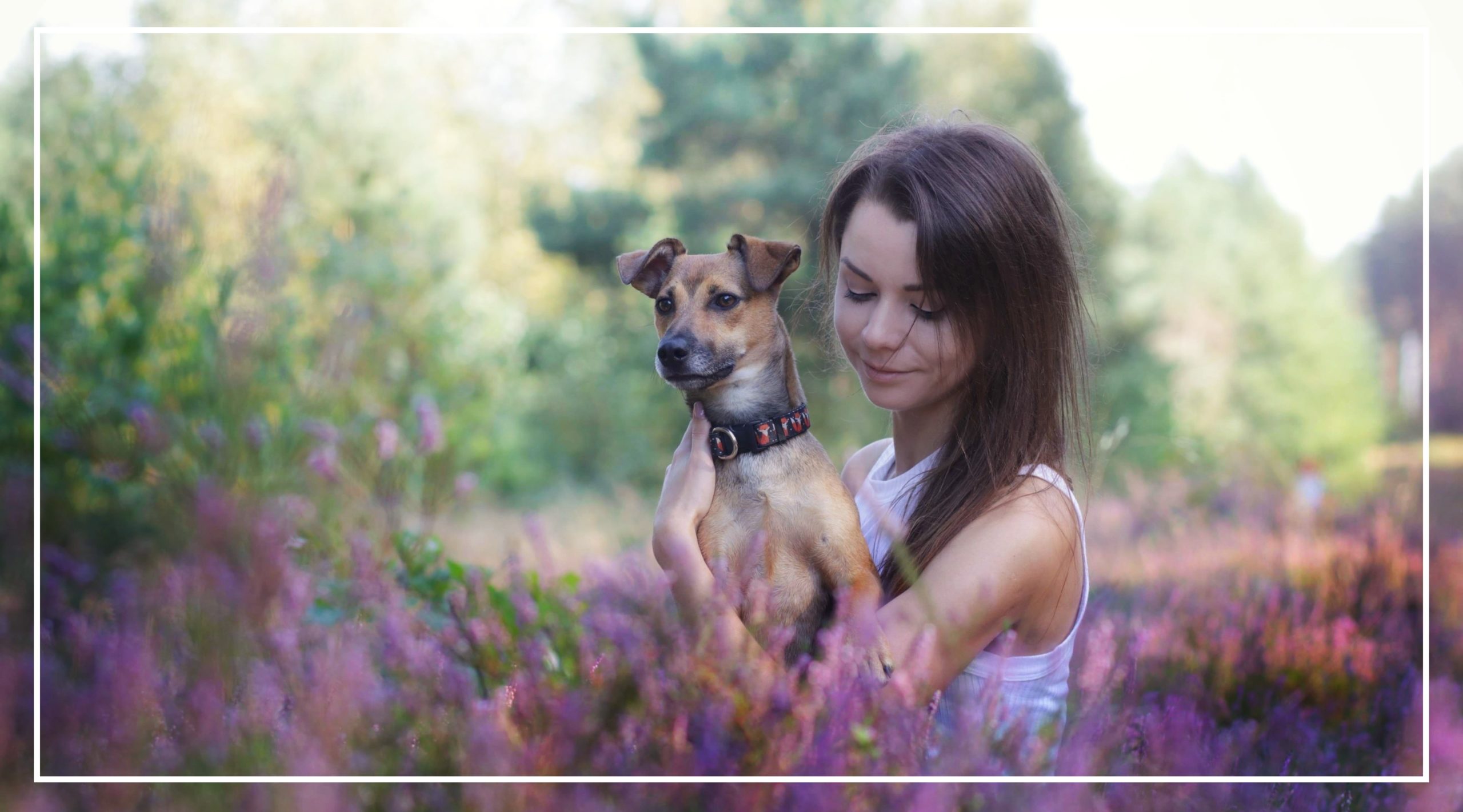 Ćwiczenia, flyball, recenzje psich produktów wg. Fuksa.